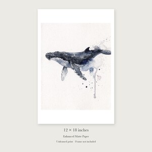 Humpback Whale unframed 12 by 18 inch print on enhanced matte paper, shown with its white paper border.