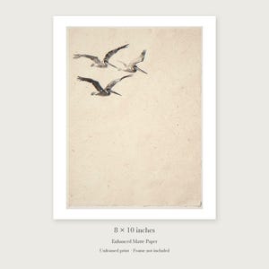 Flying Pelicans Ink Style unframed 8 by 10 inch print on enhanced matte paper, shown with its white paper border.