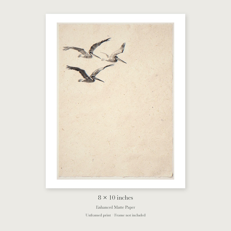 Flying Pelicans Ink Style unframed 8 by 10 inch print on enhanced matte paper, shown with its white paper border.