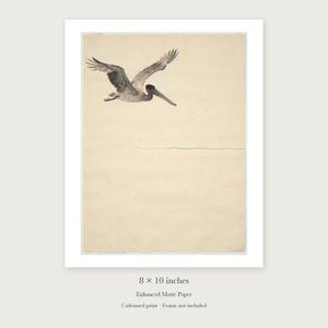 Flying Pelican Ink Style unframed 8 by 10 inch print on enhanced matte paper, shown with its white paper border.