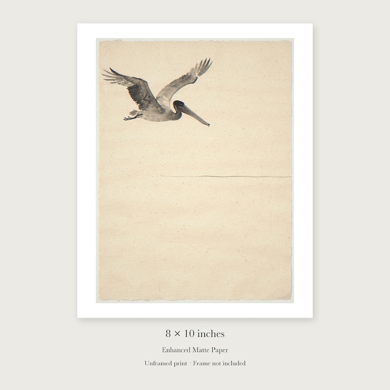 Flying Pelican Ink Style unframed 8 by 10 inch print on enhanced matte paper, shown with its white paper border.