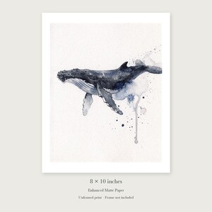 Humpback Whale unframed 8 by 10 inch print on enhanced matte paper, shown with its white paper border.
