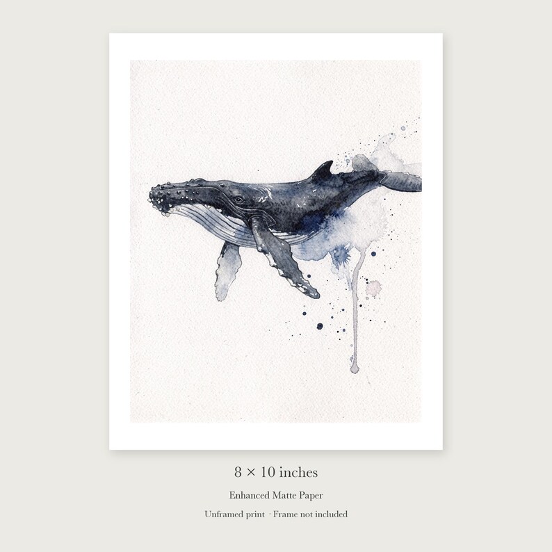 Humpback Whale unframed 8 by 10 inch print on enhanced matte paper, shown with its white paper border.