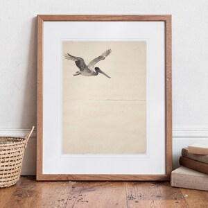 Flying Pelican Ink Style print in a Red Oak frame with a white mat, standing on the floor, leaning back slightly against the wall in a living room floor lean.