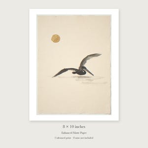 Flying Pelican Ink Style unframed 8 by 10 inch print on enhanced matte paper, shown with its white paper border.