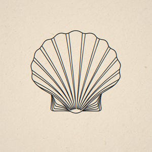 Seashell line art unframed printed artwork and full composition with its paper border.