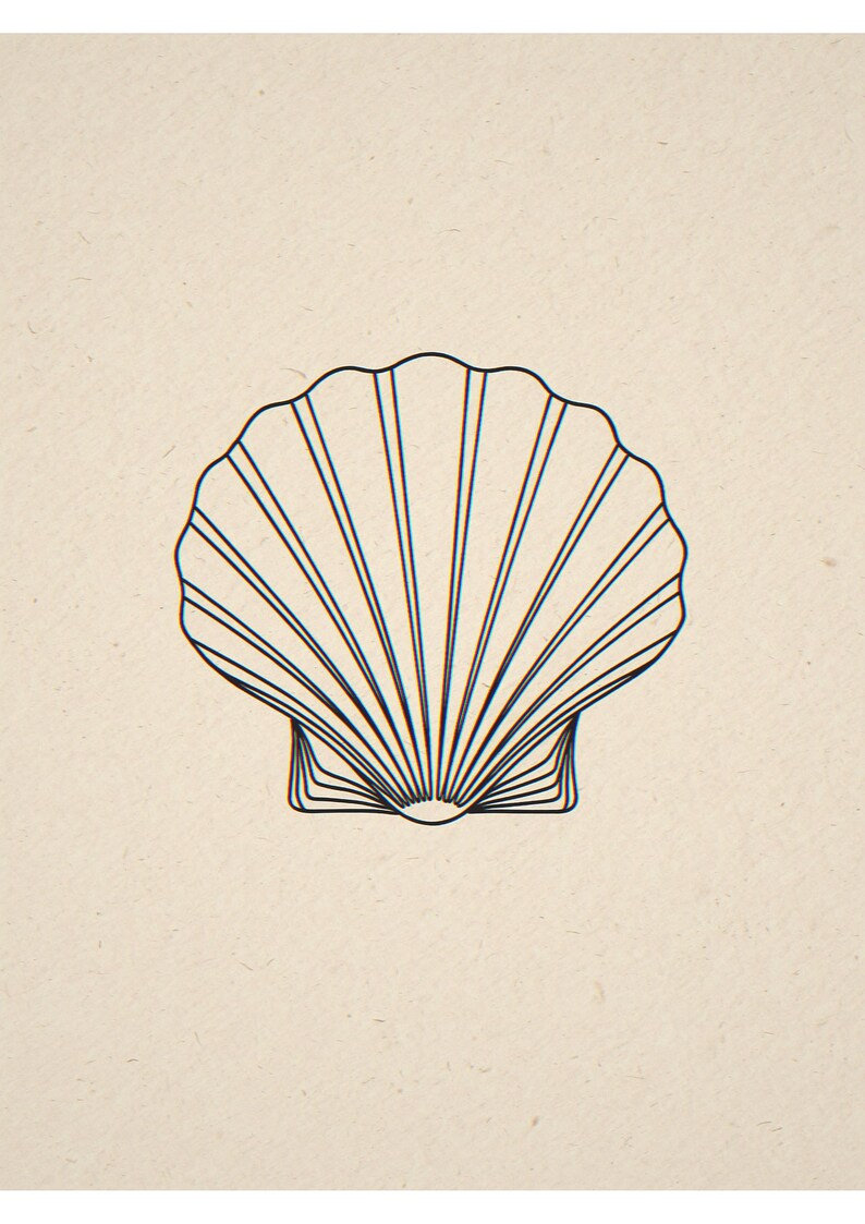 Seashell line art unframed printed artwork and full composition with its paper border.
