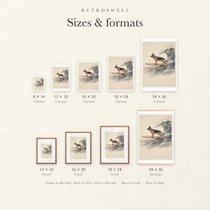 Sizes and formats for German Shepherd Surfing, shown to scale: unframed prints from 8 by 10 to 24 by 36 inches, oak hanger and framed prints.