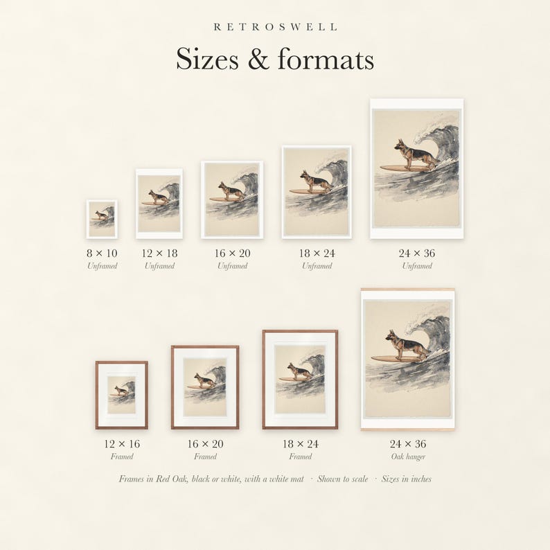 Sizes and formats for German Shepherd Surfing, shown to scale: unframed prints from 8 by 10 to 24 by 36 inches, oak hanger and framed prints.