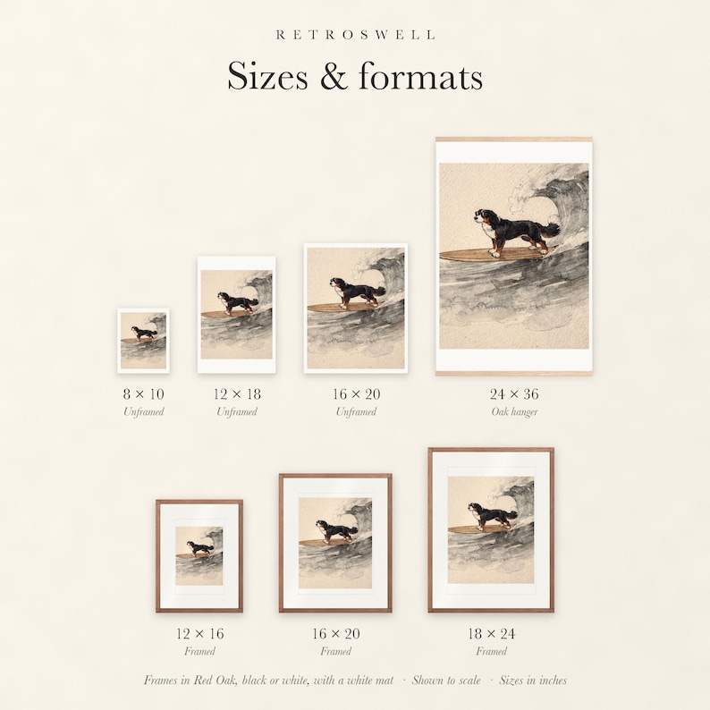 Sizes and formats for Bernese Mountain Dog Surfing, shown to scale: unframed prints, oak hanger and framed prints.