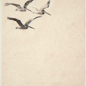 Three flying pelicans unframed printed artwork and full composition with its paper border.