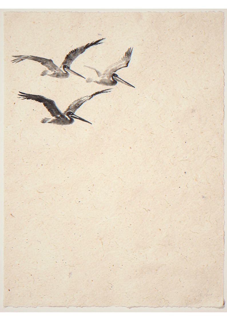 Three flying pelicans unframed printed artwork and full composition with its paper border.