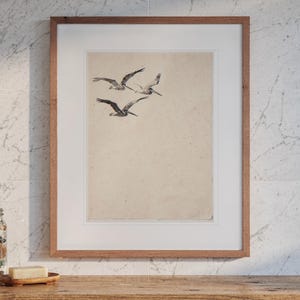 May include: A framed wall art print featuring a sketch of three pelicans in flight against a plain, light beige background. The artwork is enclosed in a simple, medium-toned wooden frame with a wide white mat border surrounding the central image.