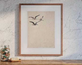 May include: A framed wall art print featuring a sketch of three pelicans in flight against a plain, light beige background. The artwork is enclosed in a simple, medium-toned wooden frame with a wide white mat border surrounding the central image.