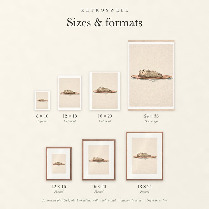 Sizes and formats for Sea Otter on Surfboard, shown to scale: unframed prints, oak hanger and framed prints.
