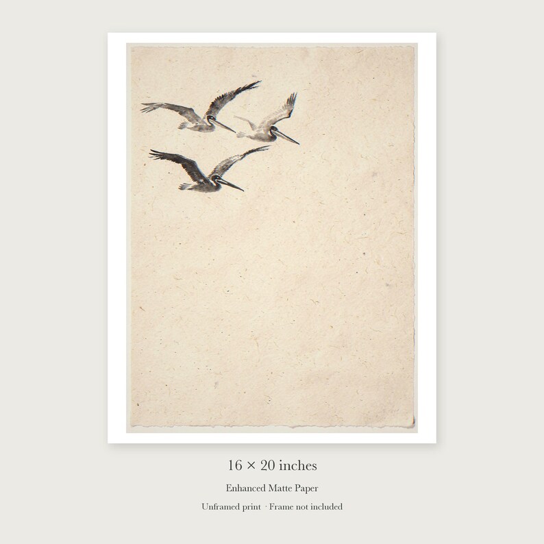 Flying Pelicans Ink Style unframed 16 by 20 inch print on enhanced matte paper, shown with its white paper border.