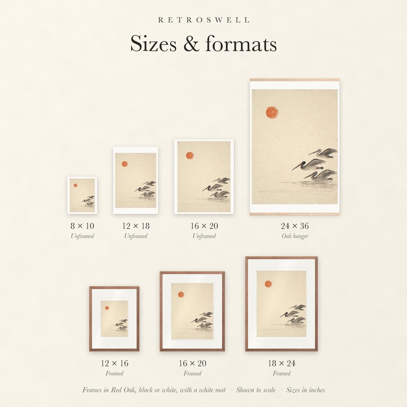 Sizes and formats for Pelicans Ink Style, shown to scale: unframed prints, oak hanger and framed prints.