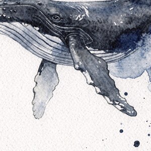 Humpback Whale Watercolor Print, Indigo Whale Painting, Coastal Wall Art, Ocean Nursery Decor, Beach House Printable Wall Art Digital Downlo image 4