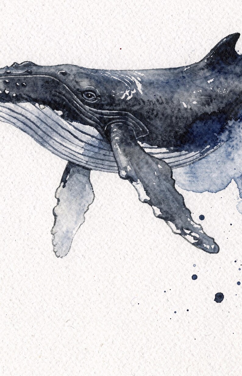 Humpback Whale Watercolor Print, Indigo Whale Painting, Coastal Wall Art, Ocean Nursery Decor, Beach House Printable Wall Art Digital Downlo image 4