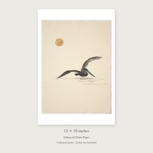 Flying Pelican Ink Style unframed 12 by 18 inch print on enhanced matte paper, shown with its white paper border.