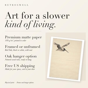 RetroSwell print details for Flying Pelican Ink Style: premium 189 g/m² matte paper, framed or unframed, oak hanger option, free US shipping.