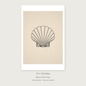 Seashell Line unframed 12 by 18 inch print on enhanced matte paper, shown with its white paper border.