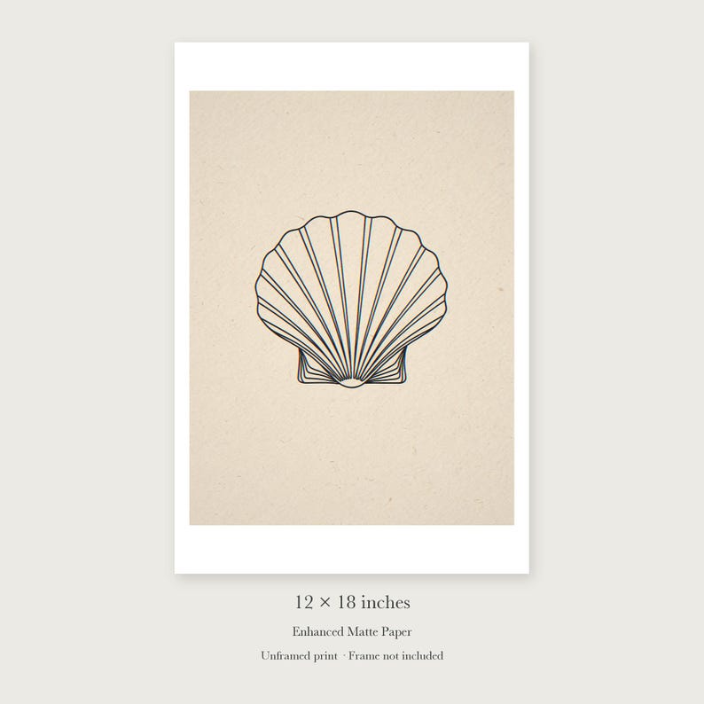 Seashell Line unframed 12 by 18 inch print on enhanced matte paper, shown with its white paper border.