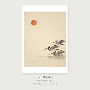 Pelicans Ink Style unframed 12 by 18 inch print on enhanced matte paper, shown with its white paper border.