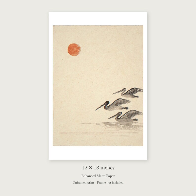 Pelicans Ink Style unframed 12 by 18 inch print on enhanced matte paper, shown with its white paper border.