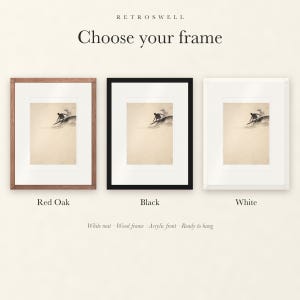 Frame options for Surfer Cutback Ink Style: Red Oak, black and white wood frames, each with a white mat.