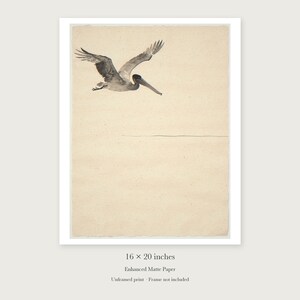 Flying Pelican Ink Style unframed 16 by 20 inch print on enhanced matte paper, shown with its white paper border.