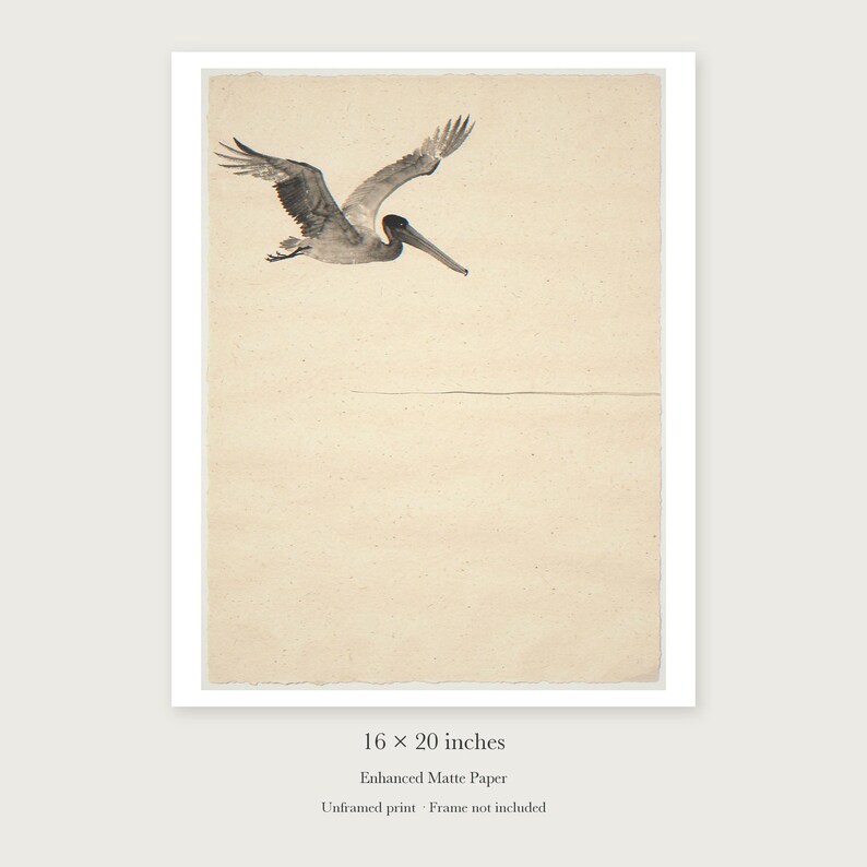 Flying Pelican Ink Style unframed 16 by 20 inch print on enhanced matte paper, shown with its white paper border.