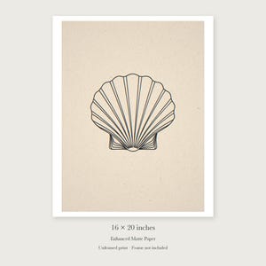 Seashell Line unframed 16 by 20 inch print on enhanced matte paper, shown with its white paper border.
