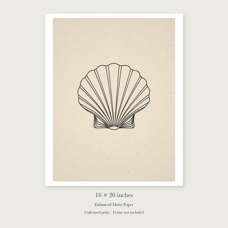 Seashell Line unframed 16 by 20 inch print on enhanced matte paper, shown with its white paper border.