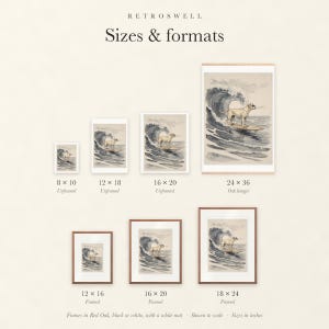 Sizes and formats for Labrador Surfing, shown to scale: unframed prints, oak hanger and framed prints.