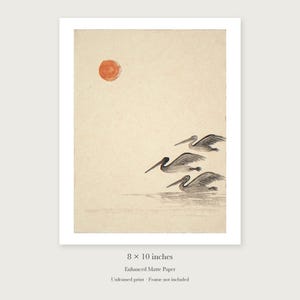 Pelicans Ink Style unframed 8 by 10 inch print on enhanced matte paper, shown with its white paper border.