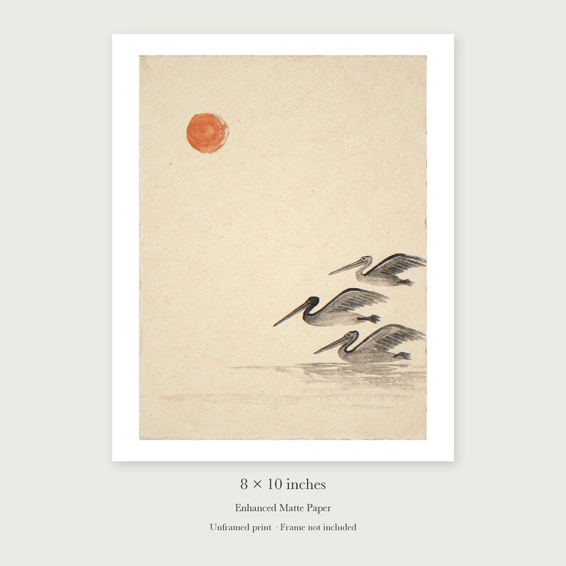 Pelicans Ink Style unframed 8 by 10 inch print on enhanced matte paper, shown with its white paper border.
