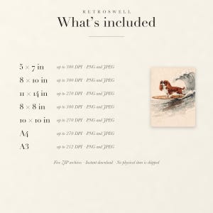 Files included with the Cavalier King Charles Spaniel surfing digital download: print sizes and resolutions.