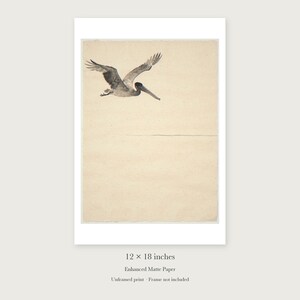 Flying Pelican Ink Style unframed 12 by 18 inch print on enhanced matte paper, shown with its white paper border.