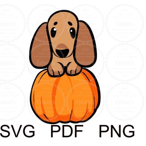 Halloween Dog SVG, Halloween Dachshund SVG, Dachshund dog with pumpkin, Layered - PNG -Art - Cricut - silhouette studio - Sublimation design