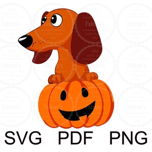 Halloween Dog SVG, Halloween Dachshund SVG, Dachshund dog with pumpkin, Layered - PNG -Art - Cricut - silhouette studio - Sublimation design