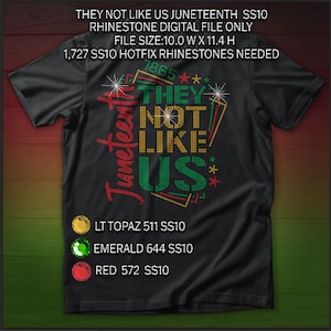 No les gustamos SS10 Diseño de archivo digital para Hotfix, Descarga instantánea, Cricut, Silhouette, SVG, Juneteenth rhinestone SVG