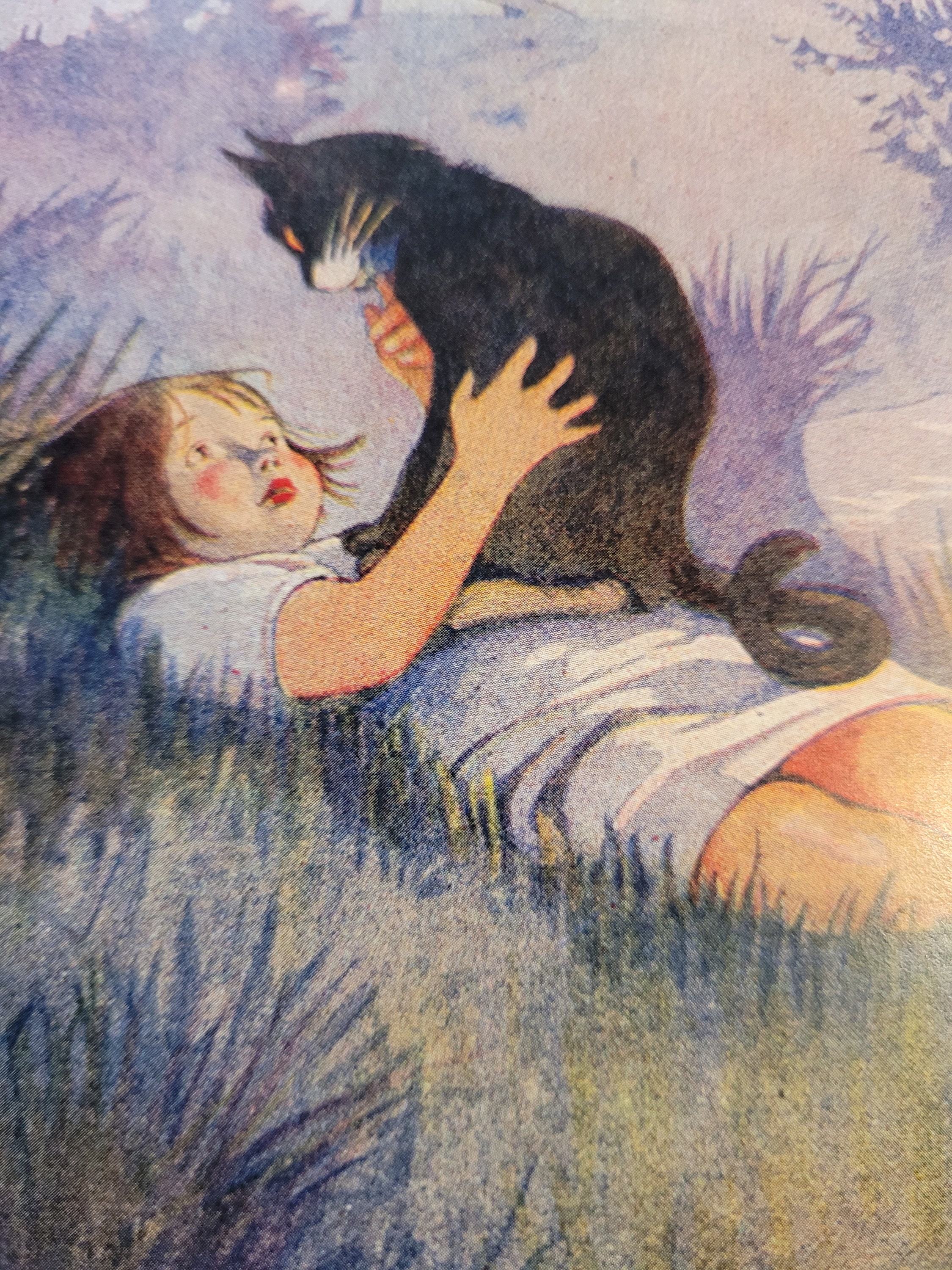 The Secret Power of a Cats Purr It Can Actually Heal