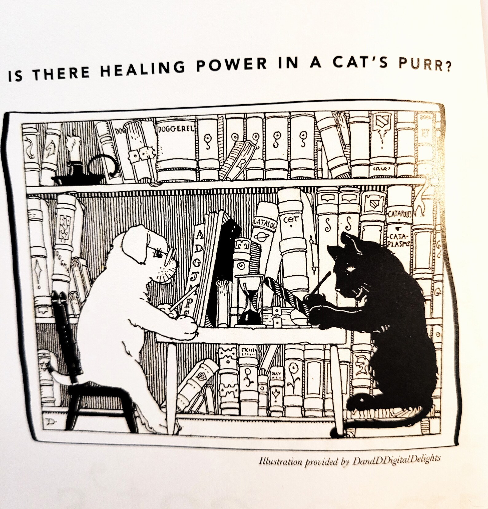 So Adorable Healing Power of a Cat's Purr Book - Etsy - Healing Power Of Cat Purr Music