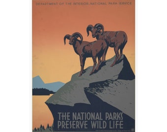 Vintage WPA National Park Poster