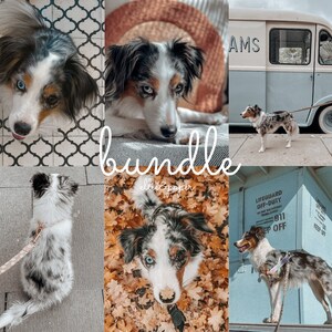 5 Preset Bundle - Ellie&Paper