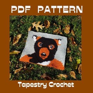 Mr. Fox Tapestry Crochet PDF Pattern, fantastic fun single crochet pattern, graph instructions