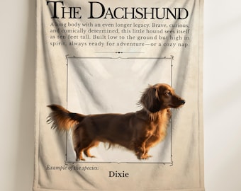 Couverture photo personnalisée pour animal de compagnie, couverture personnalisée teckel, couverture de race d'animal de compagnie, couverture personnalisée pour chien, cadeau pour amoureux de teckel, cadeau pour amoureux de chien