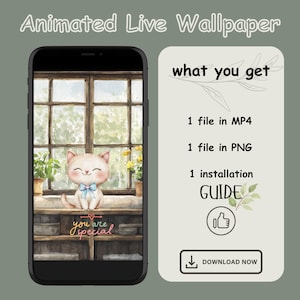 Cozy day cute cat Live background iOS live image kawaii android mp4 wallpaper live image wallpaper phone wallpaper cat lover motivational