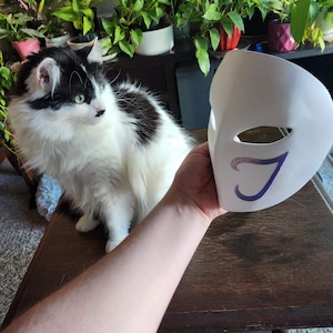 May include: A white masquerade mask with a purple design of a stylized letter J. The mask is being held by a hand in front of a black and white cat.